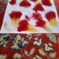 زعفران بیرجند