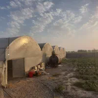 فروش یک هکتار گلخانه سنددار بر به خیابان اصلی|فروش زمین و ملک کلنگی|ورامین, ورامین|دیوار