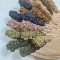 نبات دمنوشی|خوردنی و آشامیدنی|شیراز, کوشک میدان|دیوار
