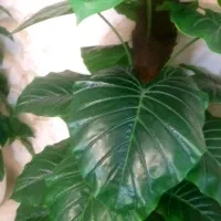 درختچه مصنوعی|گل مصنوعی|تهران, اتابک|دیوار