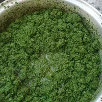 سفارش انواع سبزیجات قرمه  سبزی کوکوپذیرفته میشود