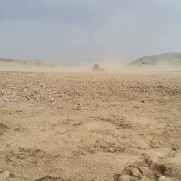 اجاره زمین کشاورزی|اجارهٔ دفتر صنعتی، کشاورزی، تجاری|کشاورز, |دیوار