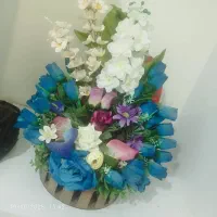 حراجی|حراج|اسالم, |دیوار