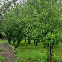 اجاره سوییت ویلا روزانه/هفتگی/ در قاضیان سنگر|اجارهٔ کوتاهمدت آپارتمان و سوئیت|سنگر, |دیوار