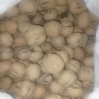 گردو