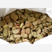 باقله خشک سبز  درجه 1 به قیمت عمده