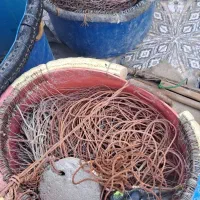 تند کلو زیر آبی