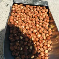 مغز فندق قهوه ایی فندق مغز فندق|خوردنی و آشامیدنی|تهران, ترمینال غرب|دیوار