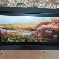 تابلو عکس طبیعت