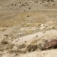 فروش زمین ۷۵۰ متری فوری فقط ۲۳۰م