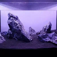 نصب وراه اندازی وسرویس آکواریوم|ماهی|کرج, عظیمیه|دیوار