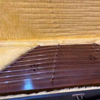 سنتور کاملا نو