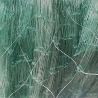 تور یالی 320چشم