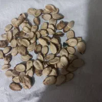 تخم آجیلی|خوردنی و آشامیدنی|کلاله, |دیوار