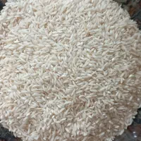 برنج طارم هاشمی