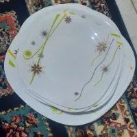 تعویض سرویس  آرکوپال ۱۸ نفره مربع با آرکوپال گرد