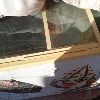 کباب پز هود یخچال بستنی فریزر لوازم مخصوص کبابی|اجاق گاز و لوازم برقی پختوپز|معصومیه, |دیوار