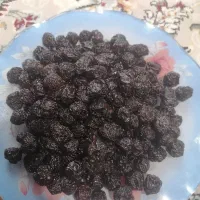 الوبالو خشک