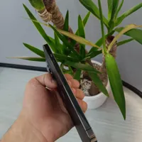 Iphone 13pro max 256g|موبایل|اصفهان, باغ نگاره|دیوار