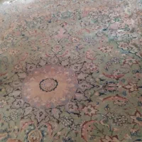 فرش دست بافت|فرش|آمل, |دیوار