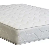 تشک المپیک 2