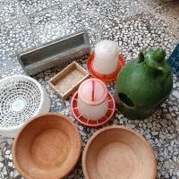 خروس معاوضه دارم طبق عکس