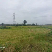 فروش دوهکتار شالیزار سنتی بر اسفالت کد 037
