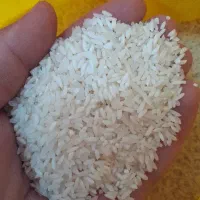 برنج سرلاشه قیمت قبل