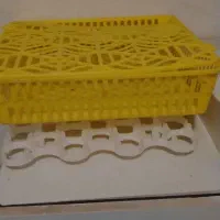 دستگاه جوجه کشی 42 تایی|لوازم جانبی حیوانات|نیشابور, میدان حافظ|دیوار