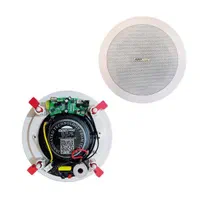 بلندگوی سقفی