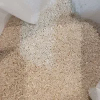 برنج لاشه هاشمی خوش طعم اعلای شمال درجه یک به شرط