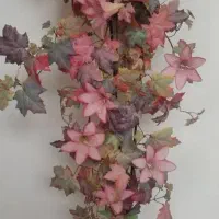 گل پایه دار