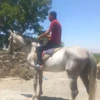نریون ترکمن