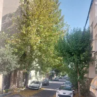 ۳۰۰ متر دونبش بالای جلال|فروش زمین و ملک کلنگی|تهران, امیرآباد|دیوار