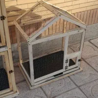 قفس چوبی برای عروس هلندی مرغ عشق قناری فنچ|لوازم جانبی حیوانات|بیرجند, |دیوار