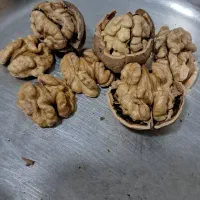 گردو|خوردنی و آشامیدنی|شاهین‌شهر, شهرک گلدیس|دیوار