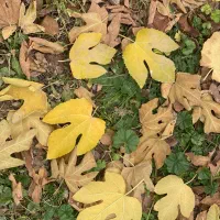 فروش زمین تجاری