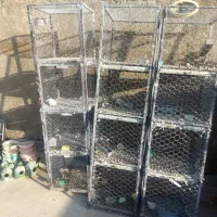 قفس جفتی کفتر