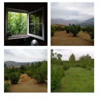 ویلا کوهستانی ۲۰۰۰ متری جنب چشمه آب معدنی دایمی|فروش خانه و ویلا|رشت, سعدی (تختی)|دیوار