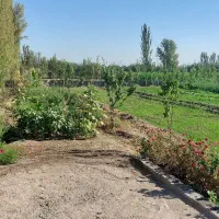 فروش  باغ ۱۵۰۰ متری در سعلکده جاده قطور رازی