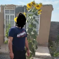 چهاردیواری