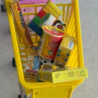 رویخچالی و سرکلیدی|اسباببازی|تهران, بوستان چیتگر|دیوار