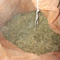 جعبه های پلاستیکی کارکرده|ظروف نگهدارنده، پلاستیکی، یک‌بارمصرف|خوی, |دیوار