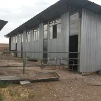 گاوداری 100 راسی شیری|فروش دفتر صنعتی، کشاورزی، تجاری|مشهد, شهرآباد|دیوار