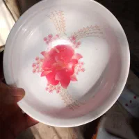 کاسه آبگوشت خوری