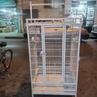 قفس کاسکویی بزرگ