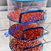 توری میوه ویبزی خشک کنی|ظروف نگهدارنده، پلاستیکی، یک‌بارمصرف|اهواز, حصیرآباد|دیوار