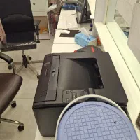 کارگر تمام ماهر کافینت