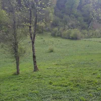 زمین ییلاقی ۴۲۰۰متر رضوانشهر|فروش زمین و ملک کلنگی|رضوانشهر, |دیوار