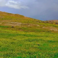 زمین دیم مناسب برای طرح گلخانه و مرغداری